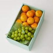 新宿高野 秋なりみかん＆旬果H #29100