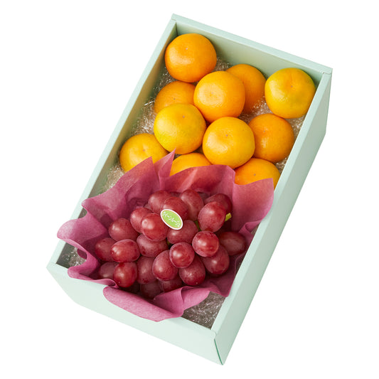 新宿高野 秋なりみかん＆旬果I #29100