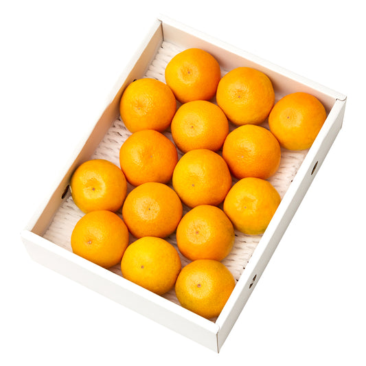 新宿高野 秋なりみかんC #29100