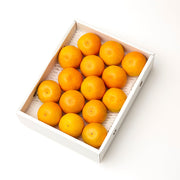 新宿高野 秋なりみかんC #29100