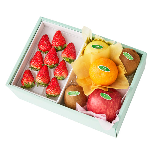 新宿高野 バレンタインストロベリーギフトEJ #29100