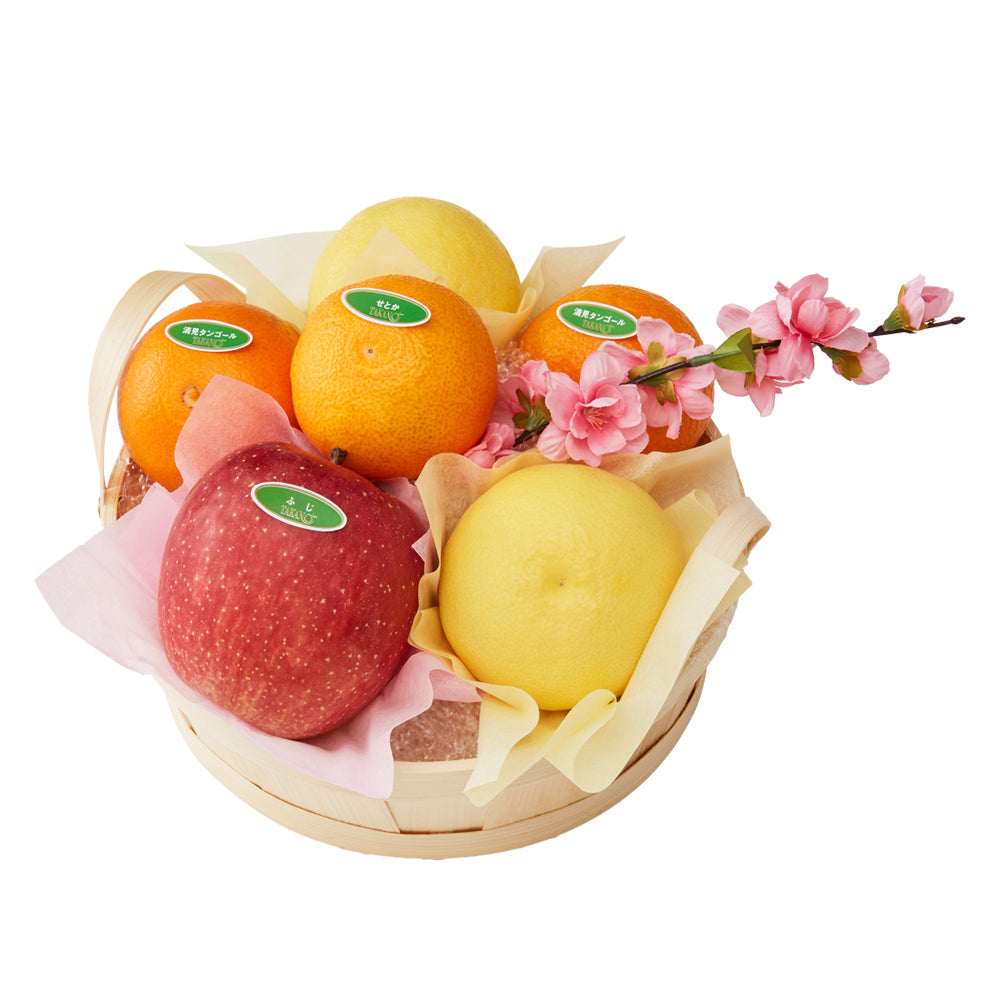 新宿高野 ひな祭りフルーツギフトEK #29100