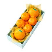 新宿高野 祐徳みかん＆旬果B