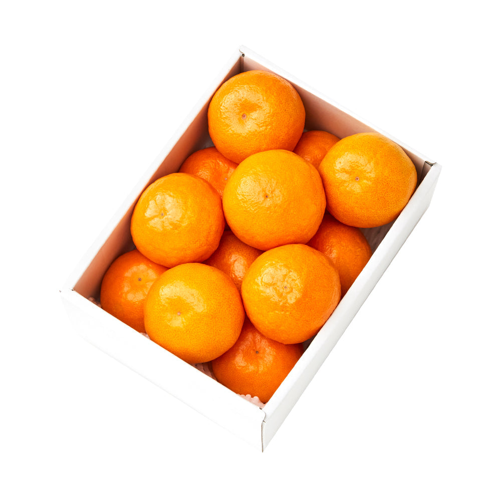 新宿高野 祐徳みかん12入