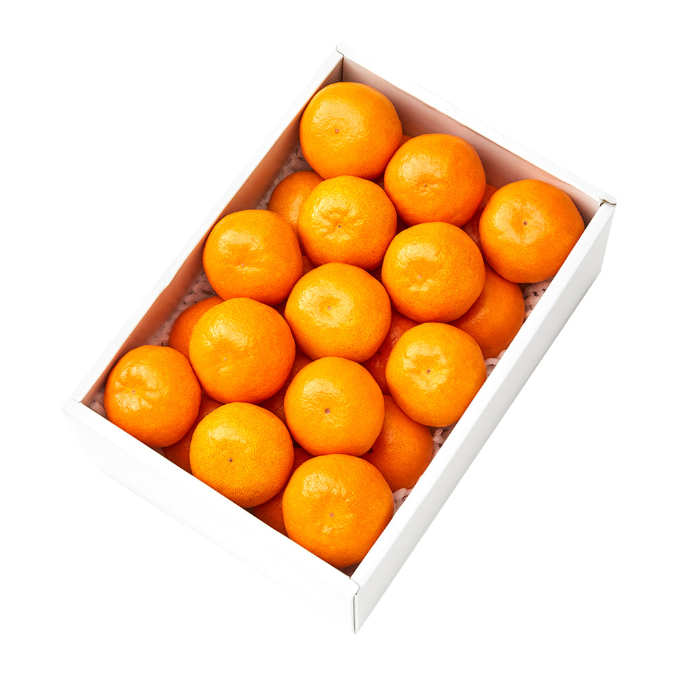 新宿高野 祐徳みかん24入