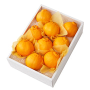 新宿高野 大将季9入 #29100