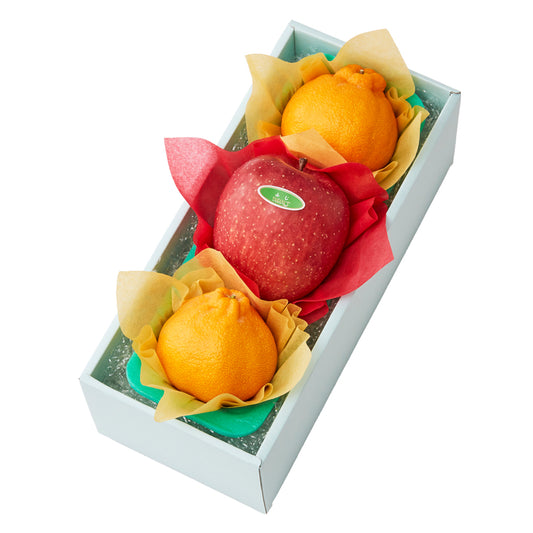 新宿高野 大将季＆旬果A #29100