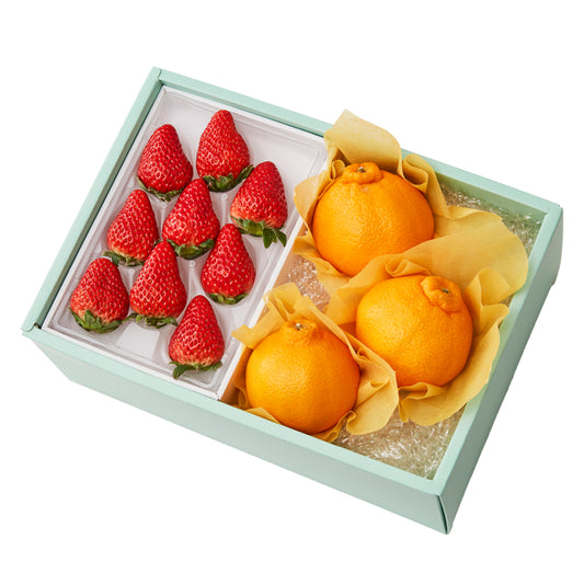 新宿高野 大将季＆旬果C #29100