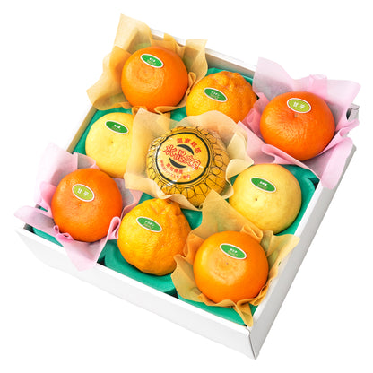 新宿高野冬柑橘食べ比べ9入 #29100