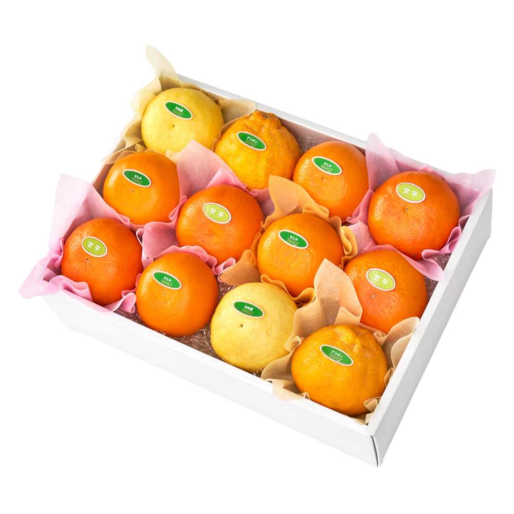 新宿高野冬柑橘食べ比べ12入 #29100