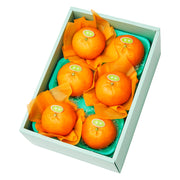 新宿高野 甘平6入 #29100