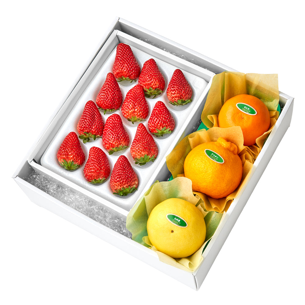 新宿高野 いちご12＆旬果B #29100