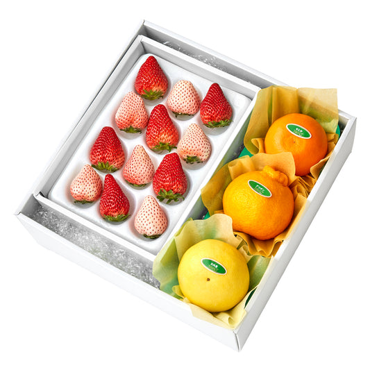 新宿高野 紅白いちご12＆旬果B #29100