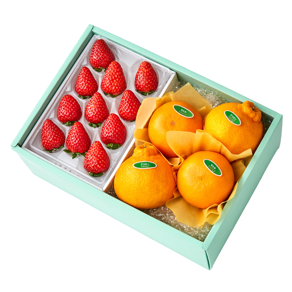 新宿高野 古都華M＆旬果A #29100