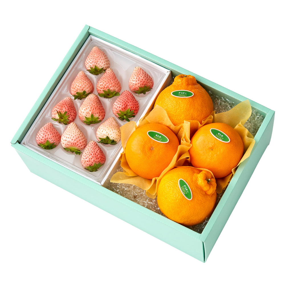 新宿高野 コットンベリーM＆旬果E #29100