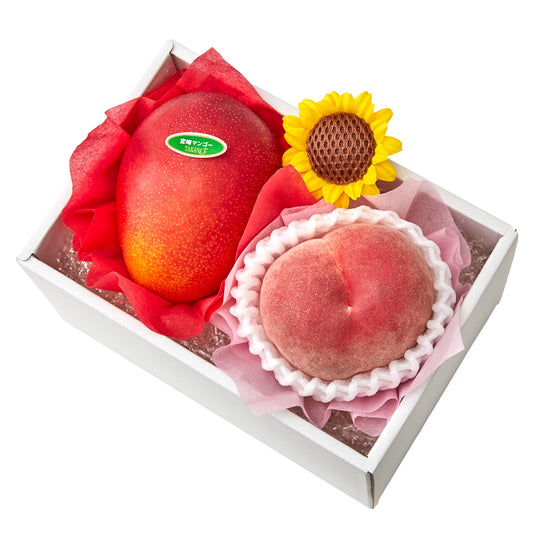 新宿高野 サマーフルーツギフトEH #29100