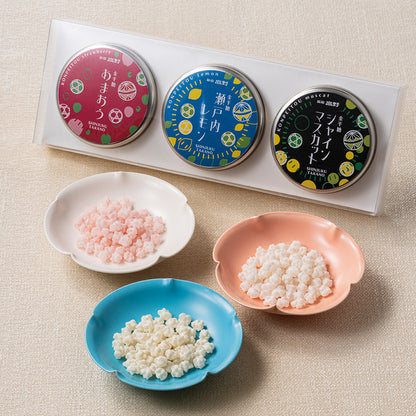 新宿高野 フルーツ金平糖3入（シャインマスカット・あまおう・瀬戸内レモン）