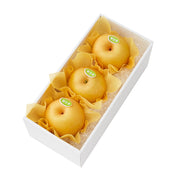新甘泉3入