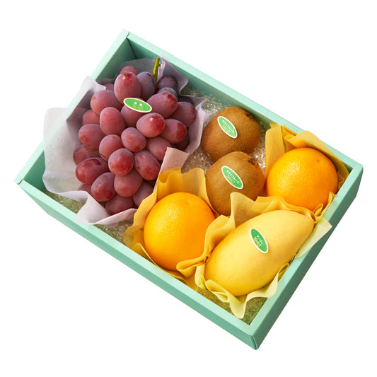 紫苑ぶどう＆旬果H