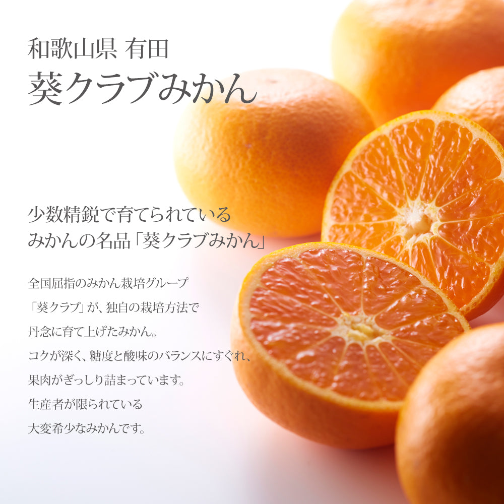 新宿高野 葵クラブみかんEB – 新宿高野オンラインショップ