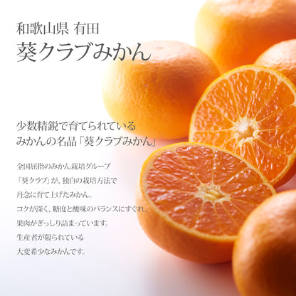 新宿高野 葵クラブみかんA #12003