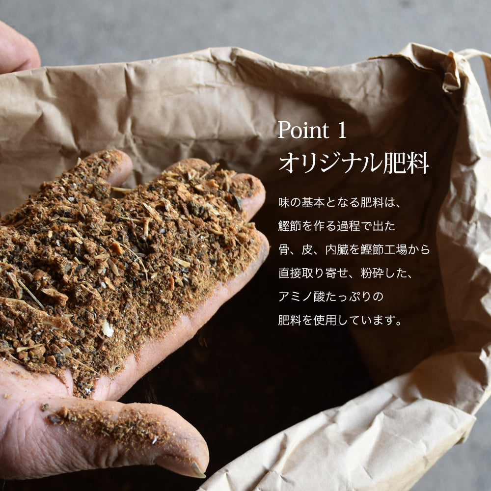 新宿高野 葵クラブみかんEB – 新宿高野オンラインショップ