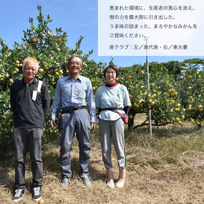 新宿高野 葵クラブみかんA #12003