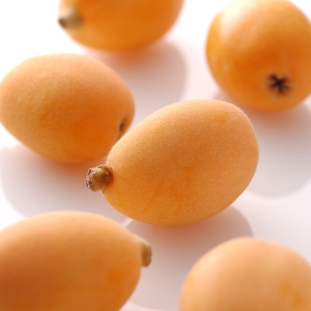 新宿高野 母の日 フルーツアラカルト #94016