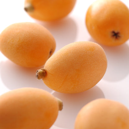 新宿高野 母の日 フルーツアラカルト #94016