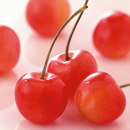 新宿高野 母の日 フルーツアラカルト #94016