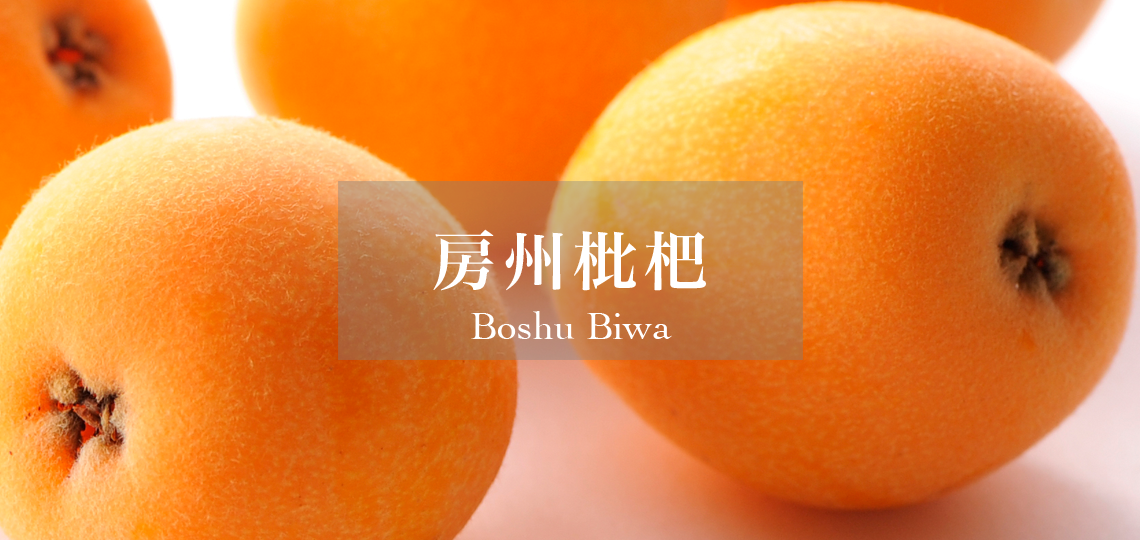 房州枇杷