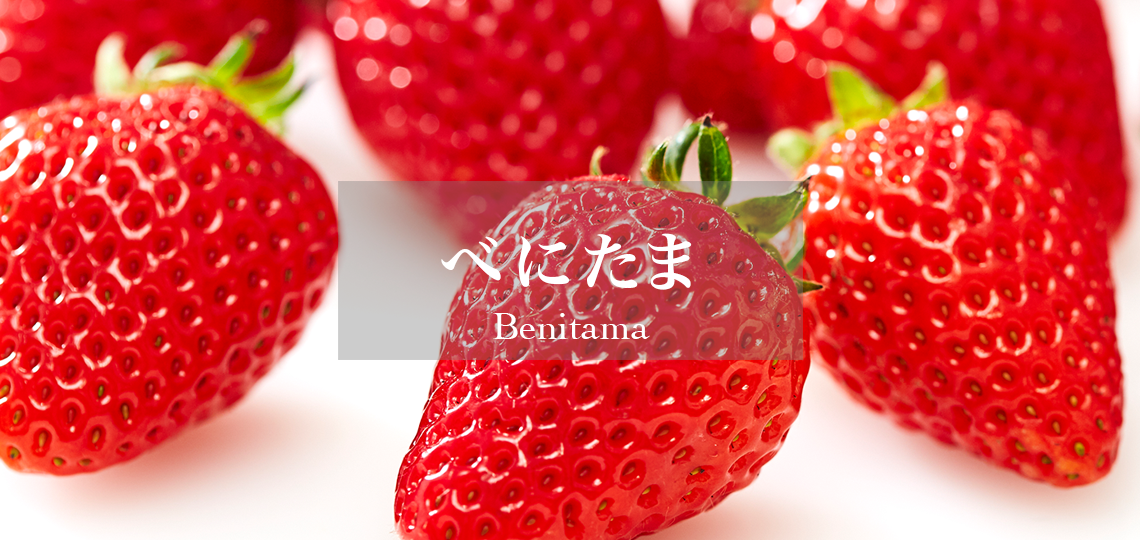 べにたま