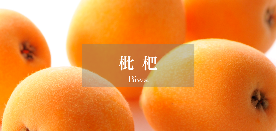 枇杷 – 新宿高野オンラインショップ