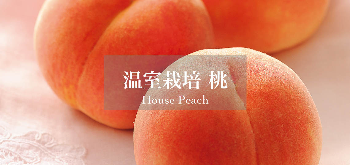 温室栽培 桃