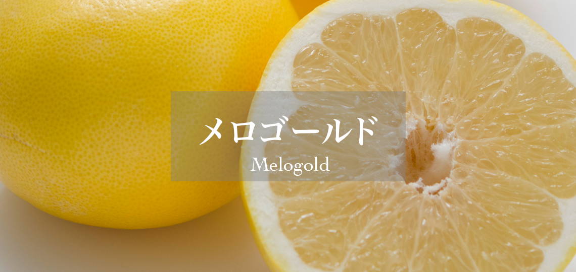 メロゴールド
