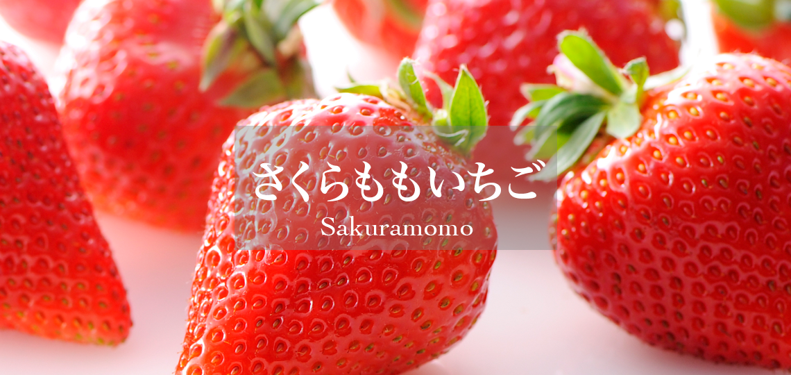 さくらももいちご