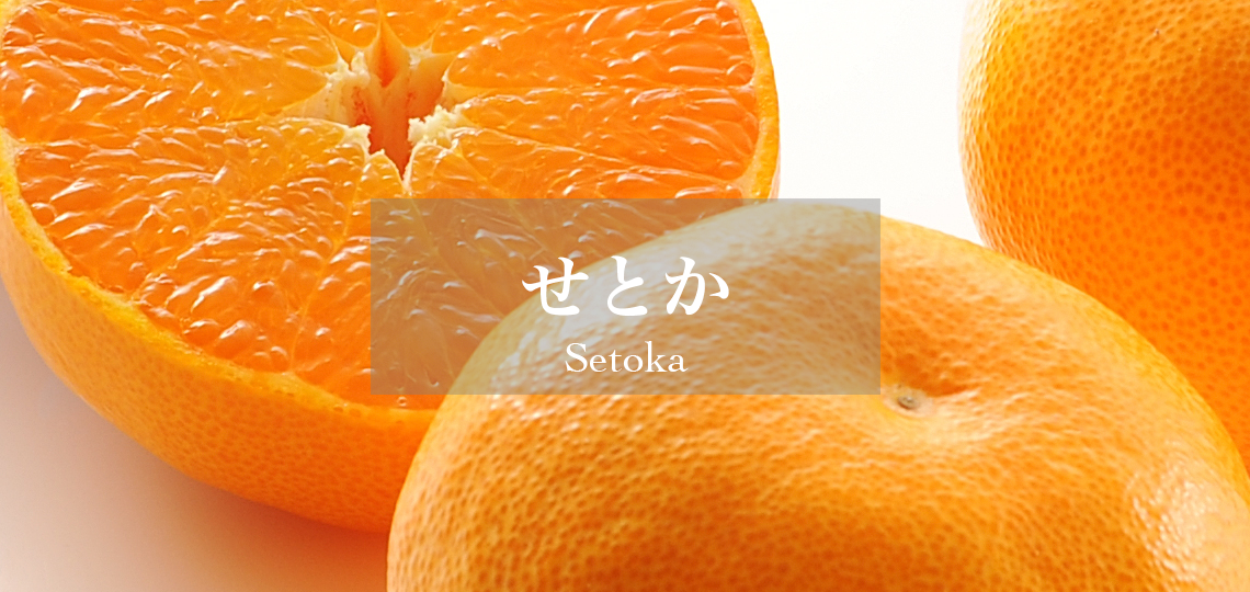 せとか