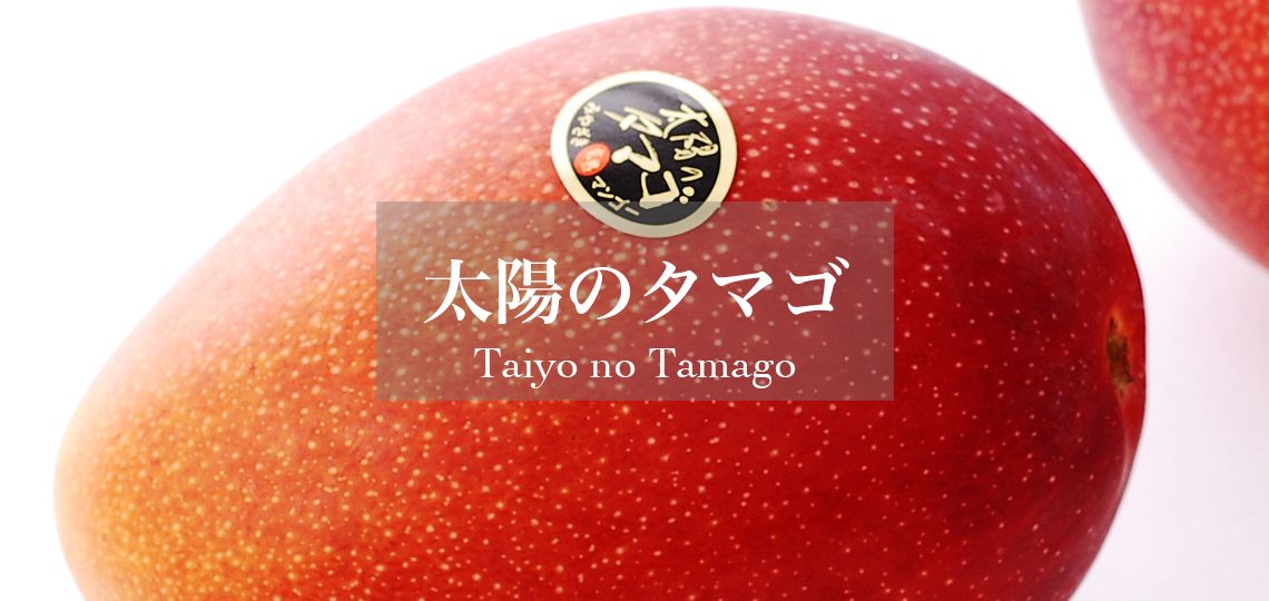 太陽のタマゴ