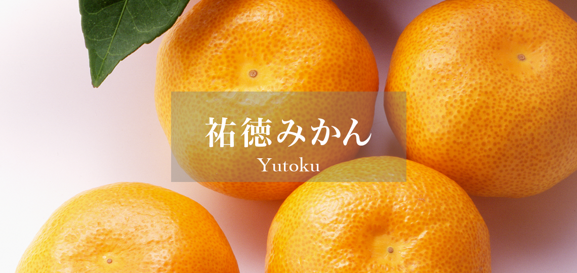 祐徳みかん