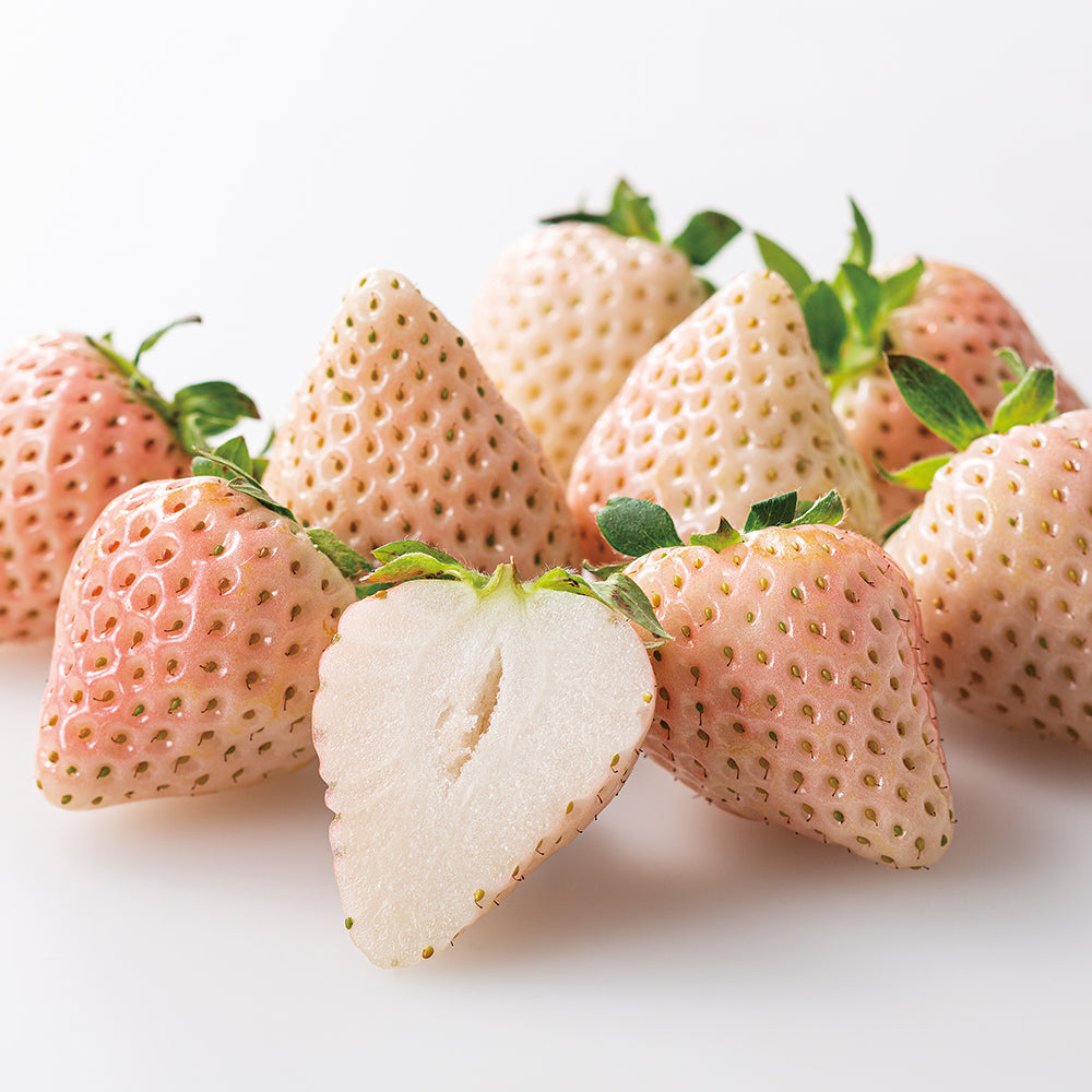 新宿高野 コットンベリーM＆旬果E #29100