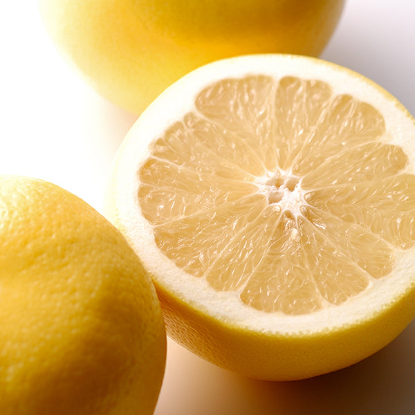 新宿高野 母の日 フルーツバラエティーC #93446