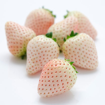 新宿高野 ホワイトデーストロベリーギフトEG #29100