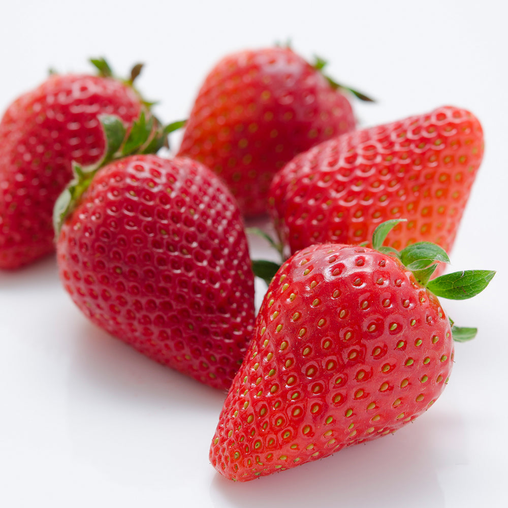 新宿高野 アイベリー #15318