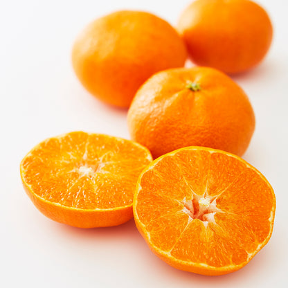 新宿高野 甘平バラエティーB #29100