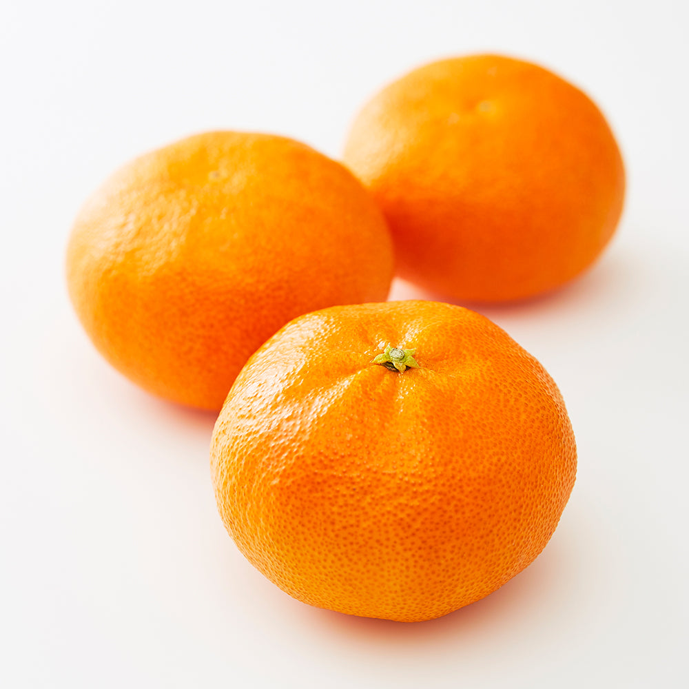 新宿高野 甘平6入 #29100