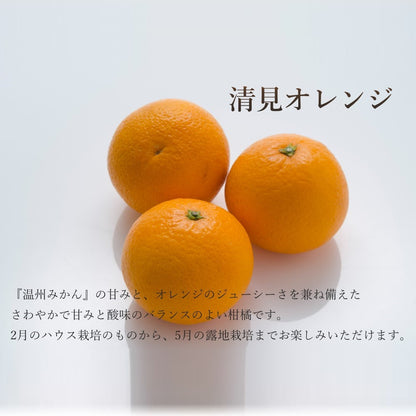 新宿高野 ホワイトデー旬果ギフトEB #29100