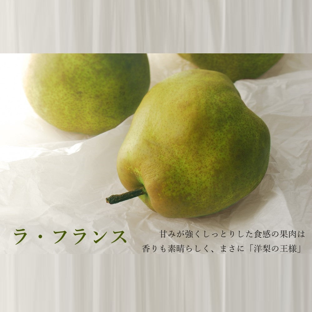 新宿高野 フルーツトリオS #23412