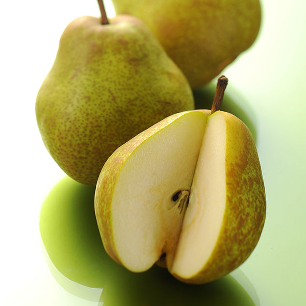 新宿高野 ウインターフルーツA #53211