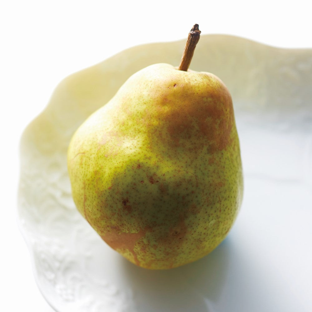 新宿高野 冬果コンビ #53105