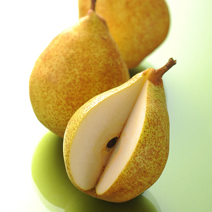 新宿高野 ポワールトリオA #14137